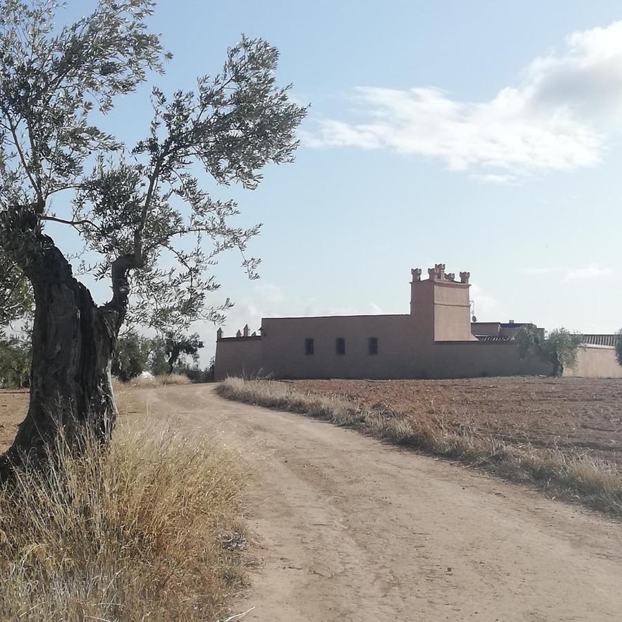 Albergue turístico La Almazara Villafranca de los Barros Exterior foto
